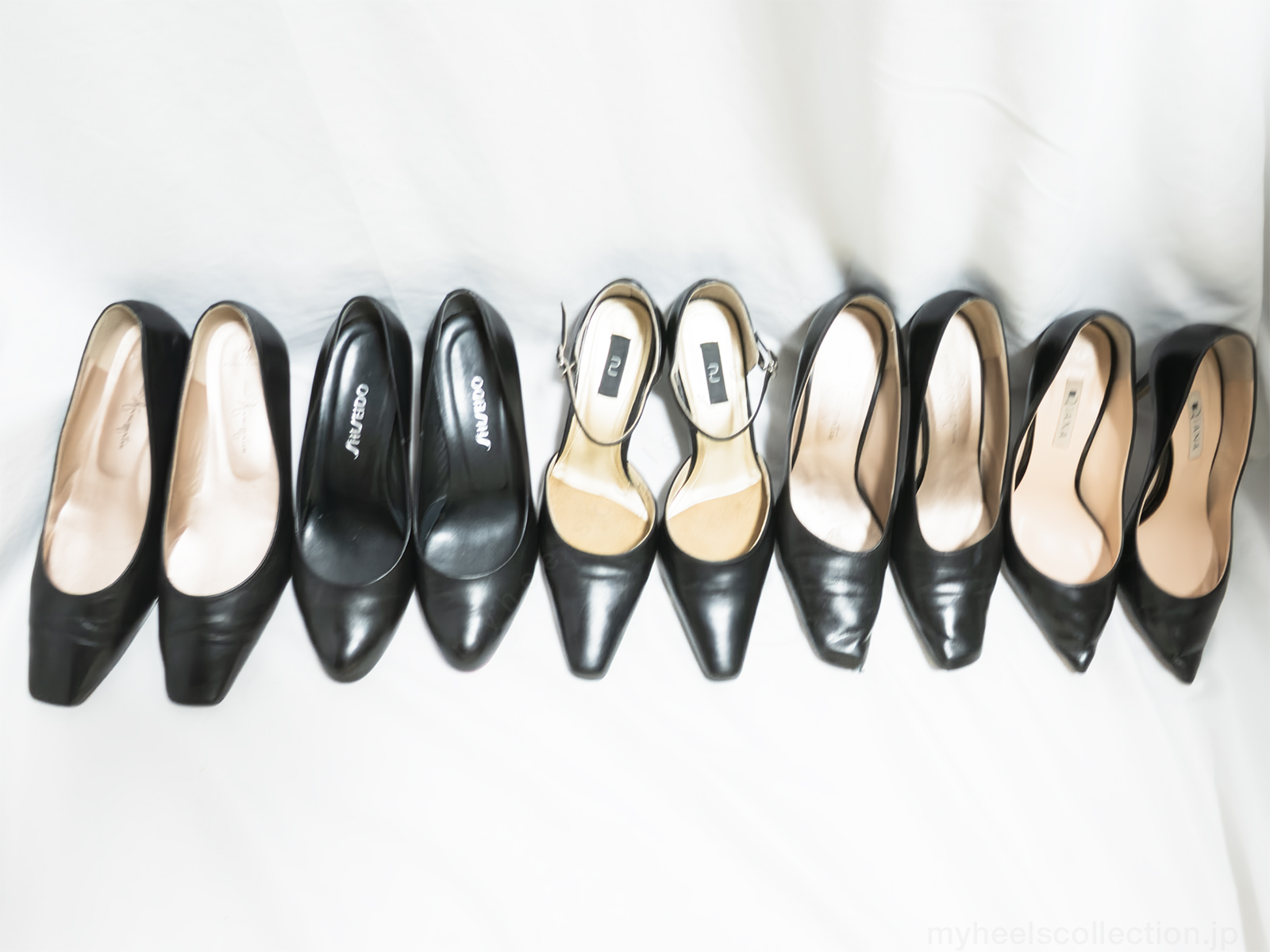 黒パンプス 複数足整列｜非着用・白背景｜比較のためのラインナップ